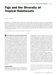Figs and the Diversity of Tropical Rainforests
