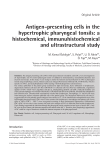 Antigen-presenting cells in the hypertrophic pharyngeal tonsils