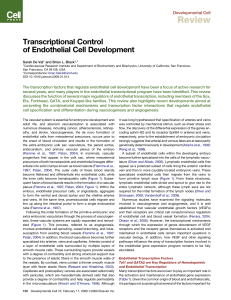 Transcriptional Control of Endothelial Cell Development