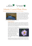 Atlantic Coastal Plain properties Backgrounder