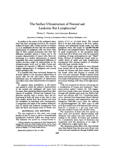 The Surface Ultrastructure of Normal and