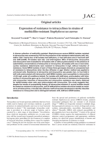 Original articles Expression of resistance to tetracyclines in strains of