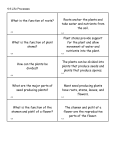 What is the function of roots