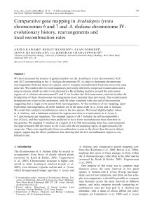 Comparative gene mapping in Arabidopsis lyrata chromosomes 6