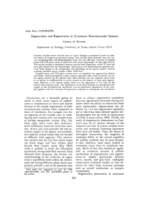 Degeneration and Regeneration in Crustacean