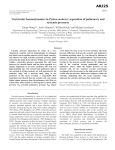 Ventricular haemodynamics in Python molurus: separation of