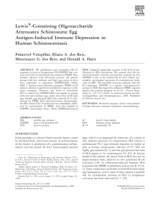 Lewis -Containing Oligosaccharide Attenuates Schistosome Egg
