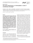 The novel cytochrome c6 of chloroplasts