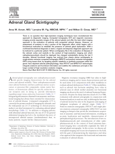 Adrenal Gland Scintigraphy
