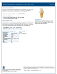 SCHWAN`S® Premium Ice Cream Dispenser Vanilla Ice Cream