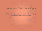 Citric Acid Cycle - chem.uwec.edu - University of Wisconsin