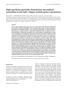High specificity generally characterizes mycorrhizal association in