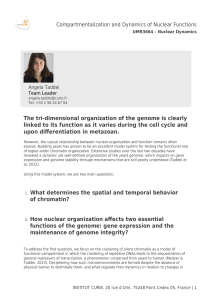 The tri-dimensional organization of the genome is clearly linked to