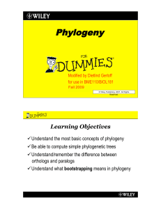 Phylogeny