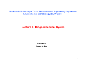 Lecture 8. Biogeochemical Cycles