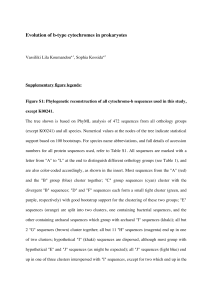 Evolution of b-type cytochromes in prokaryotes