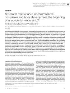 Structural maintenance of chromosome complexes and bone