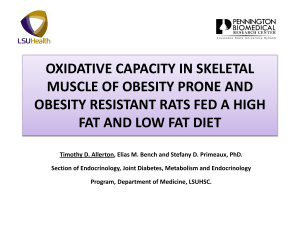 oxidative capacity in skeletal muscle of obesity prone and obesity