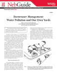 Stormwater Management: Water Pollution and Our Own Yards