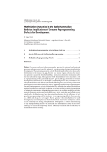 Methylation Dynamics in the Early Mammalian Embryo: Implications