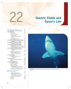 22 electric Fields and gauss`s Law
