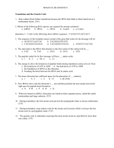 Translation and the Genetic Code