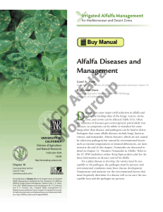 Alfalfa Diseases and Management