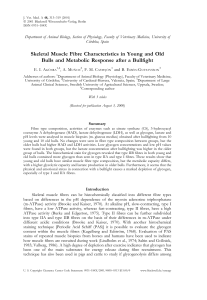 Skeletal Muscle Fibre Characteristics in Young and Old Bulls and