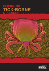 Emerging Tick-borne Diseases: A Roundtable Discussion