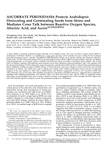 ASCORBATE PEROXIDASE6 Protects