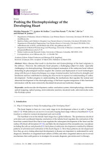 Probing the Electrophysiology of the Developing Heart