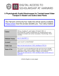 A Physiologically Explicit Morphospace for Tracheid