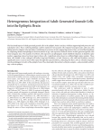 Heterogeneous Integration of Adult