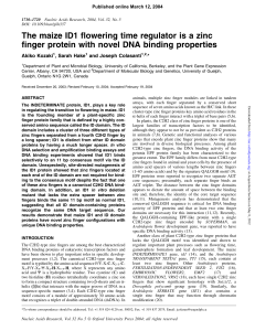 The maize ID1 flowering time regulator is a zinc finger protein with