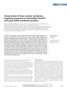 Conservation of inner nuclear membrane targeting sequences in