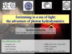 Swimming in a sea of light: the adventure of photon hydrodynamics