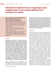 Mitochondrial translation factors of Trypanosoma brucei: elongation