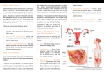 What is uterine cancer? - Shaukat Khanum Memorial Cancer