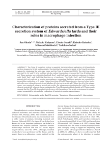 Characterization of proteins secreted from a Type III secretion