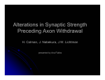 Alterations in Synaptic Strength Preceding Axon Withdrawal