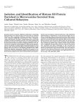 Isolation and Identification of Histone H3 Protein Enriched in