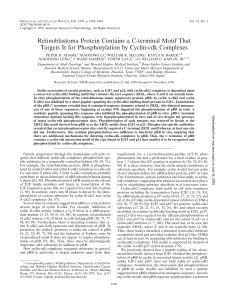 Retinoblastoma Protein Contains a C-terminal - Bio