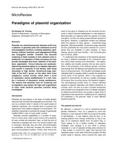 MicroReview Paradigms of plasmid organization