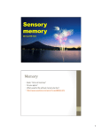 Sensory Memory