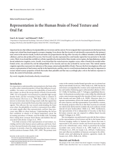 Representation in the Human Brain of Food Texture and Oral Fat