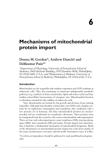 Mechanisms of mitochondrial protein import