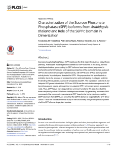 Characterization of the Sucrose Phosphate Phosphatase (SPP