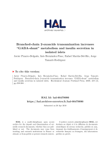 Branched-chain 2-oxoacids transamination increases