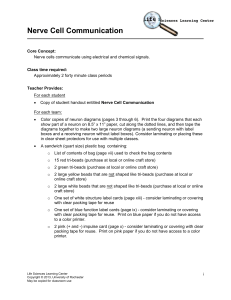 Nerve Cell Communication - URMC