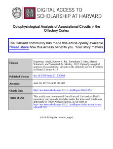 Optophysiological analysis of associational circuits in the olfactory